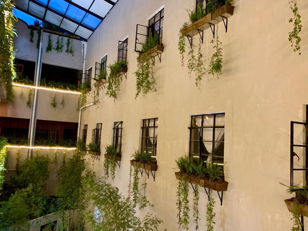Frontera 49 Roma Norte Hostal Ciudad de México Exterior foto